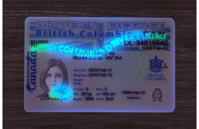 British Columbia (B.C.) Fake ID (2025 Version)