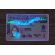 British Columbia (B.C.) Fake ID (2025 Version)