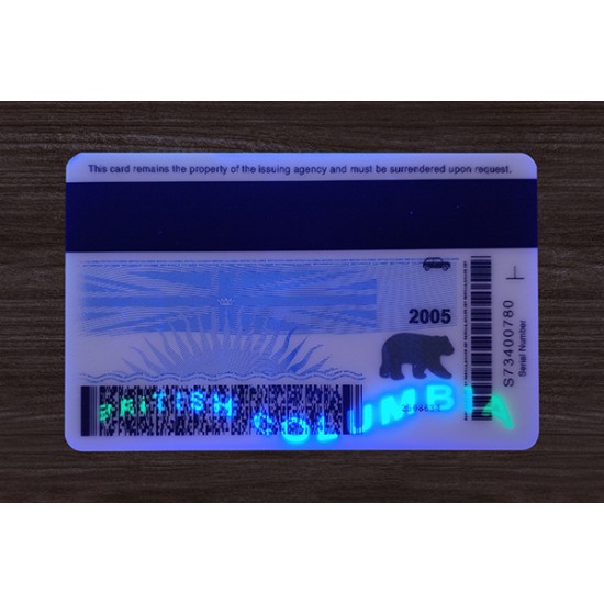 British Columbia (B.C.) Fake ID (2025 Version)