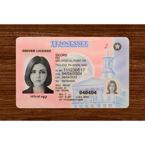 Tennessee (TN) Fake ID  (2025 Version)