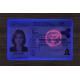 Ontario (ON) Fake ID (2025 version)