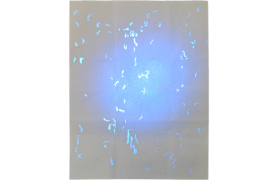 Fake Iowa Birth Certificate