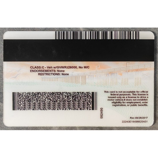 California (CA) Fake ID