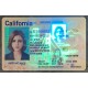 California (CA) Fake ID