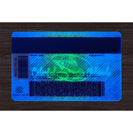 Colorado (CO) Fake ID