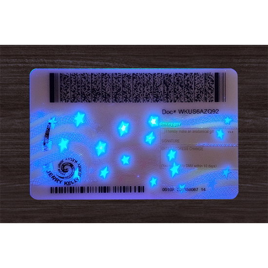New York Fake ID (2025 Version)