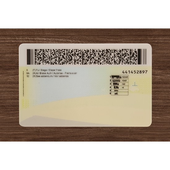 Manitoba (Man) Fake ID (2026 Version)