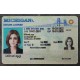 Michigan Fake id front side