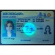 Michigan (MI) Fake ID