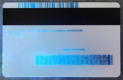 Minnesota (MN) Fake ID