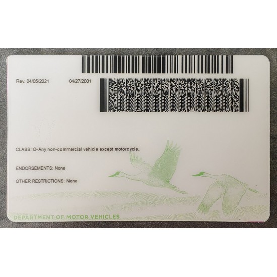 Nebraska (NE) Fake ID