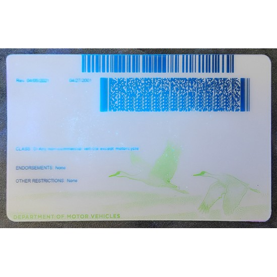 Nebraska (NE) Fake ID