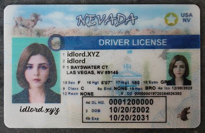 Nevada Fake id front side