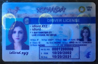Nevada (NV) Fake ID