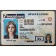 Pennsylvania Fake id front side