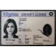 Virginia Fake id front side