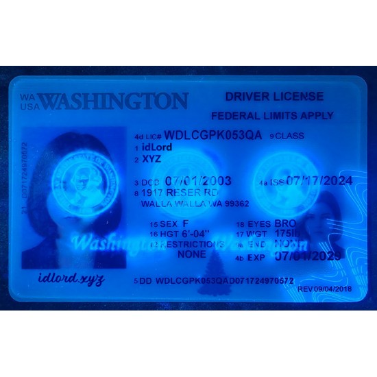 Washington (WA) Fake ID