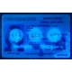 Washington (WA) Fake ID