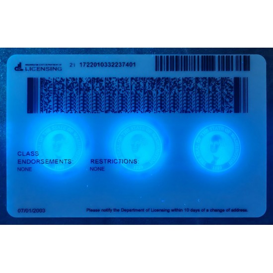 Washington (WA) Fake ID