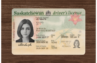 Saskatchewan (SK) Fake ID